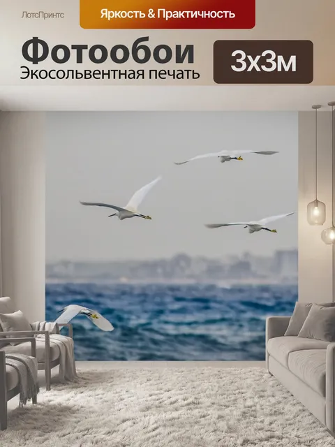 Фотообои Летать