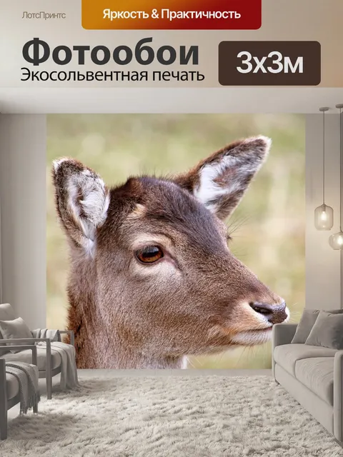 Фотообои Олень