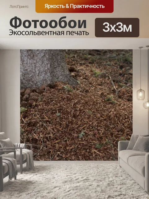 Фотообои Сосновые шишки и хвоя сосны