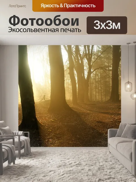 Фотообои Туманный