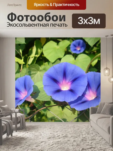Фотообои Цветы