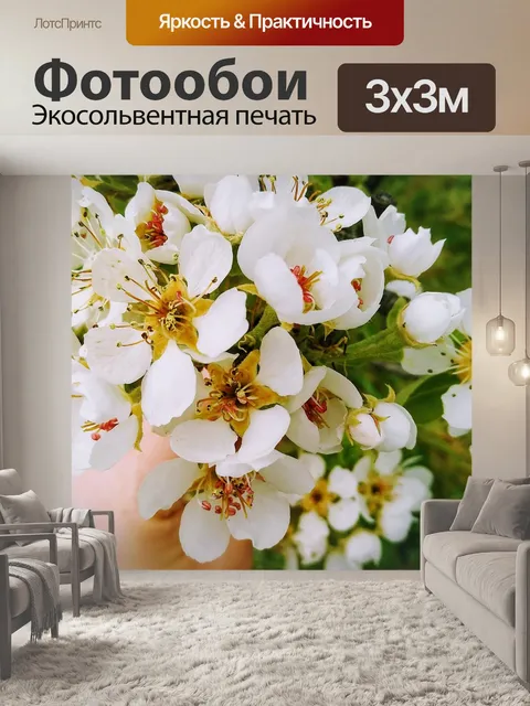 Фотообои Цветы