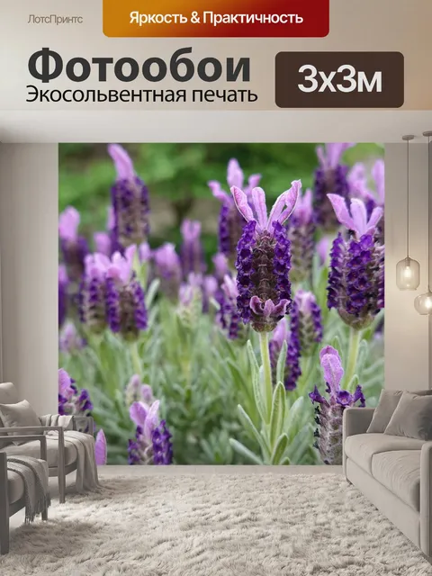 Фотообои Лаванда