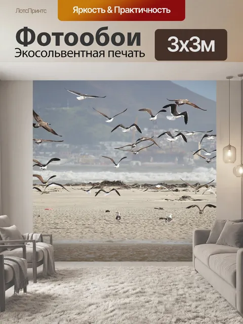 Фотообои Чайки