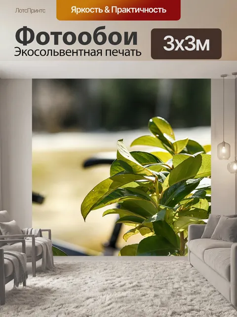 Фотообои Лист
