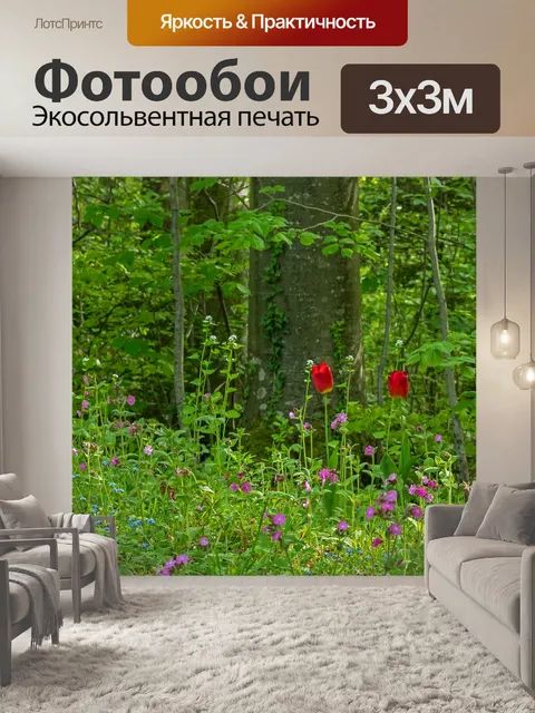 Фотообои Тюльпан