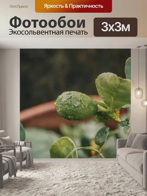 Фотообои Лимон