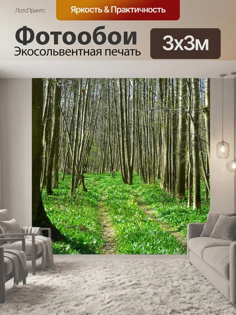 Фотообои Лес