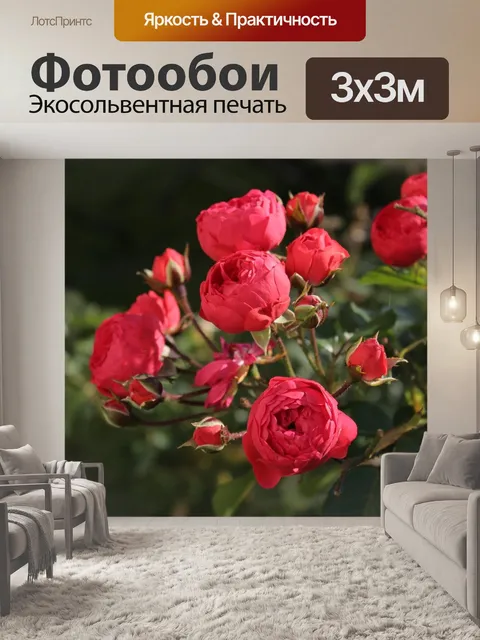 Фотообои Розы