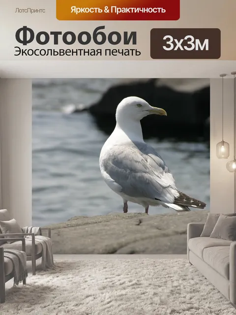 Фотообои Птица