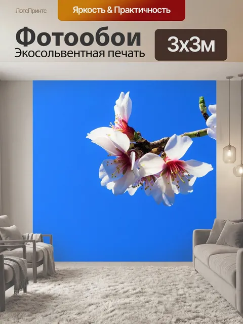 Фотообои Цветок