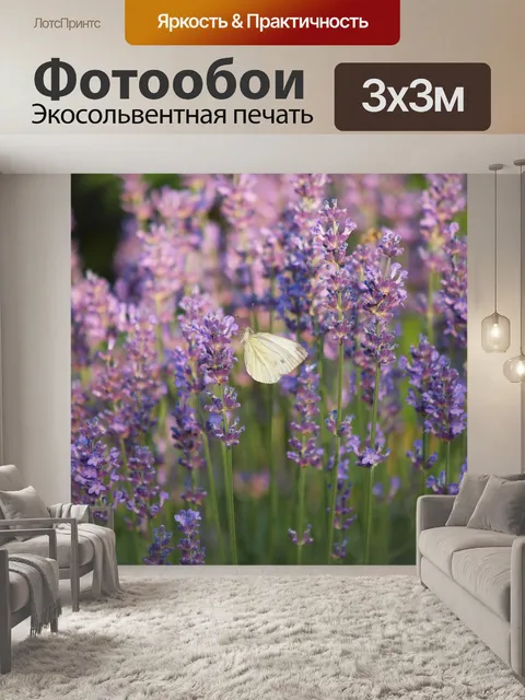 Фотообои Бабочка