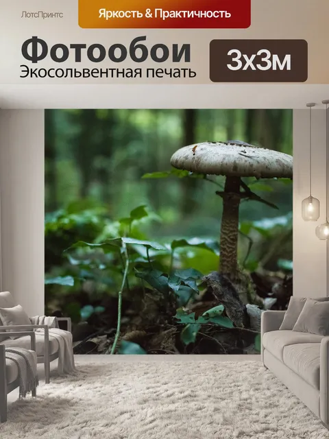 Фотообои Лес