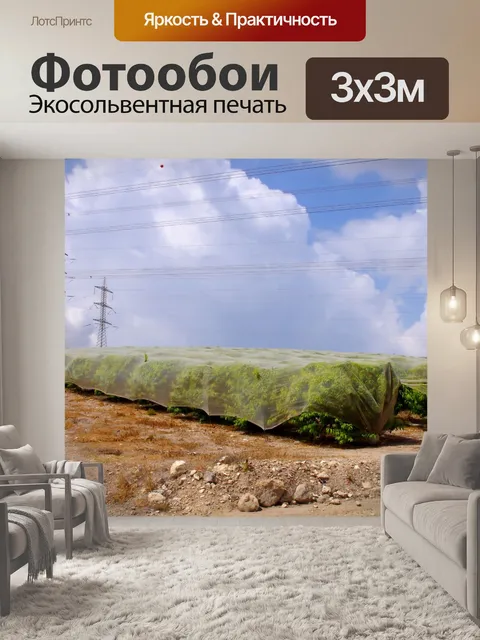 Фотообои Крытые фруктовых деревьев