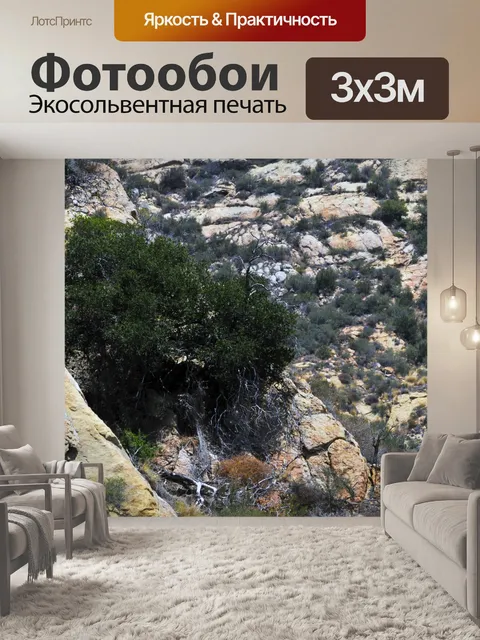 Фотообои Гора Дерево
