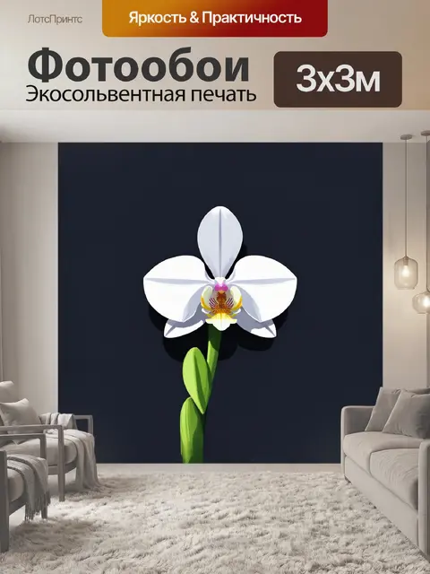 Фотообои стилизованная белая орхидея в минимализме