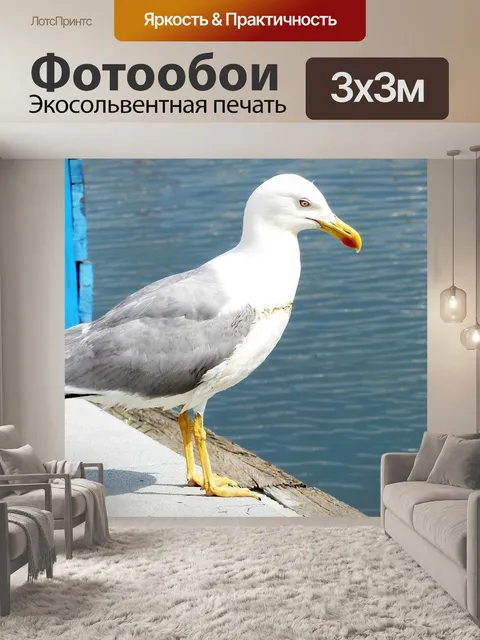 Фотообои Птица