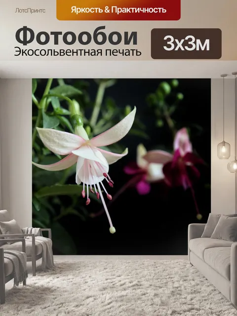 Фотообои Фуксия