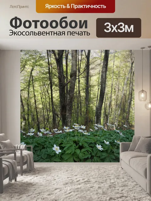 Фотообои Лес