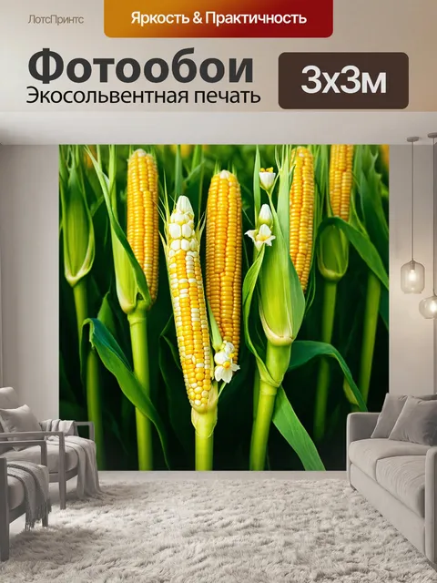 Фотообои цветы в стиле абстракции