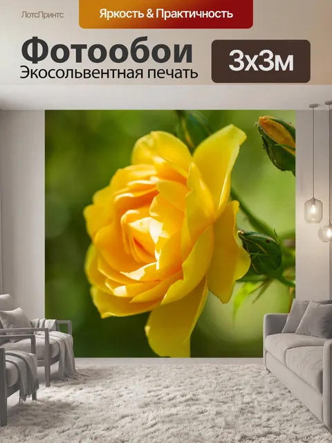 Фотообои Роза