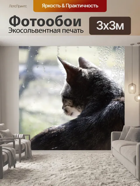 Фотообои Любопытство
