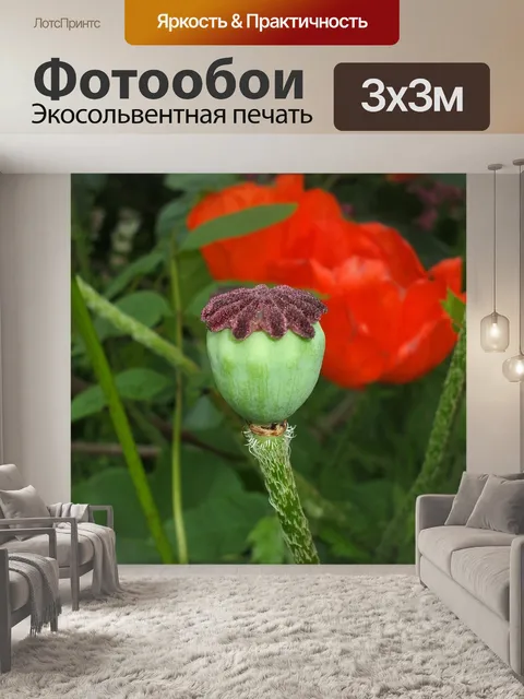 Фотообои Цветы