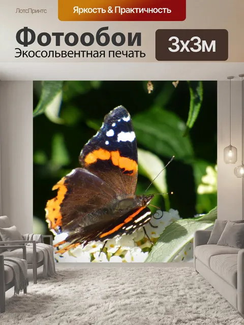 Фотообои Бабочка на цветке