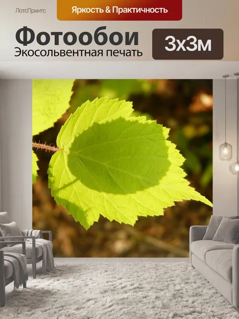 Фотообои Листья