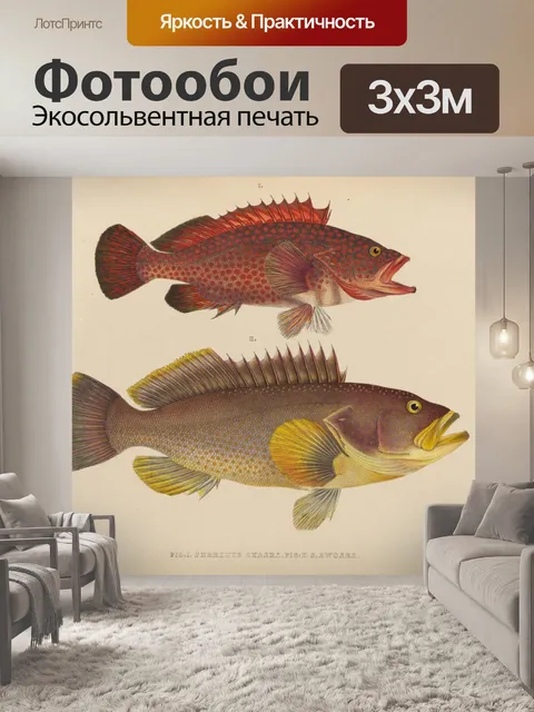 Фотообои Винтажная иллюстрация тропической рыбы