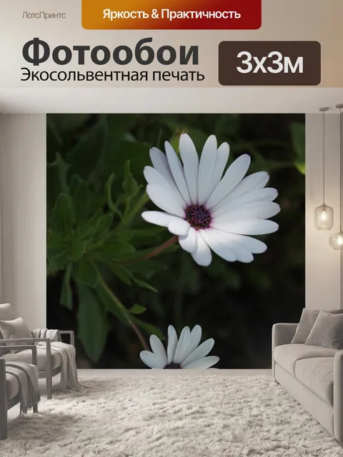 Фотообои Цветы