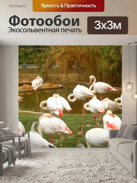 Фотообои Фламинго