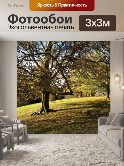 Фотообои Деревья