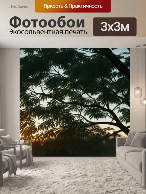 Фотообои закат через листву деревьев