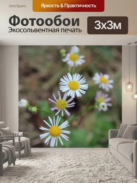 Фотообои Цветы