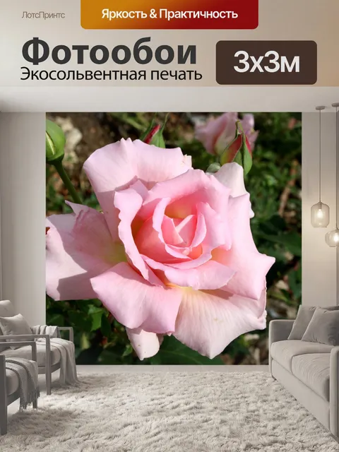 Фотообои Belle Rose Цвет светло-розовый