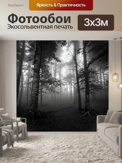 Фотообои черно-белый, где лесное царство запечатлено под утренним туманом