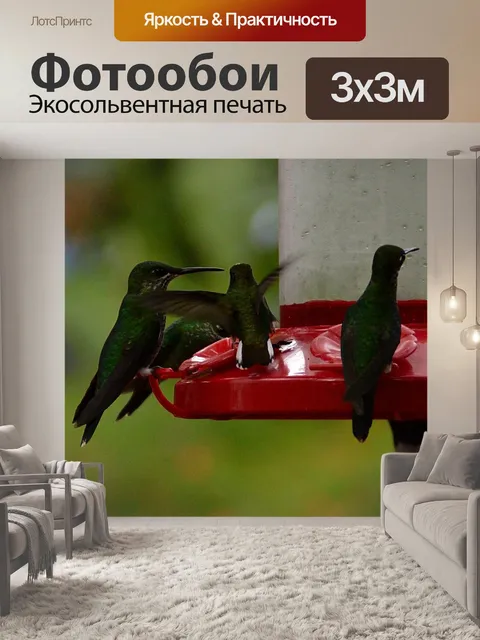 Фотообои Птица