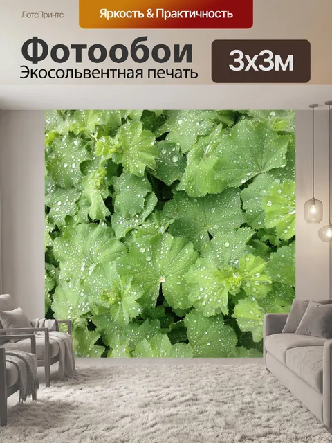 Фотообои Листья