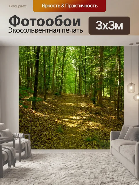 Фотообои Черный лес