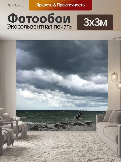 Фотообои Буря