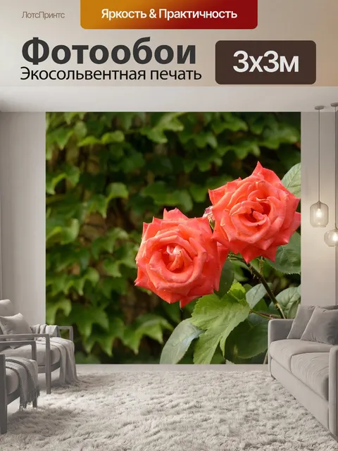 Фотообои Розы