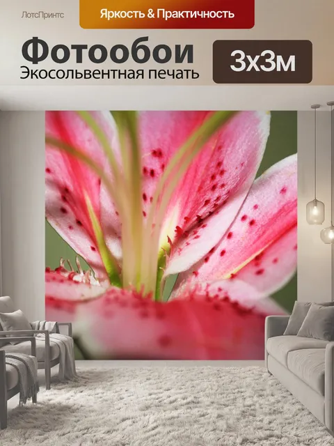 Фотообои Калла Лили Лепестки 2