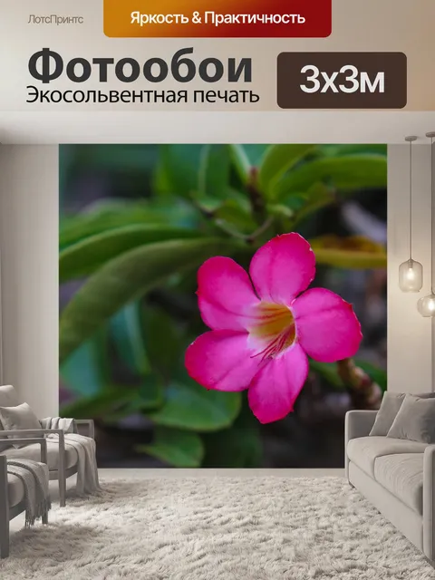 Фотообои Увлекательно