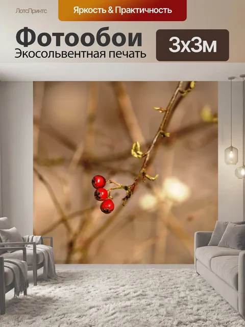 Фотообои Ягода