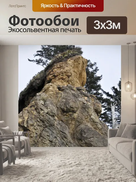 Фотообои Дерево на вершине скалистым