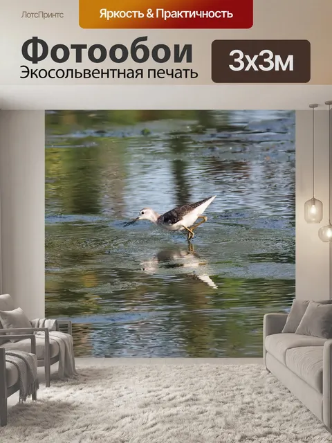 Фотообои Птица