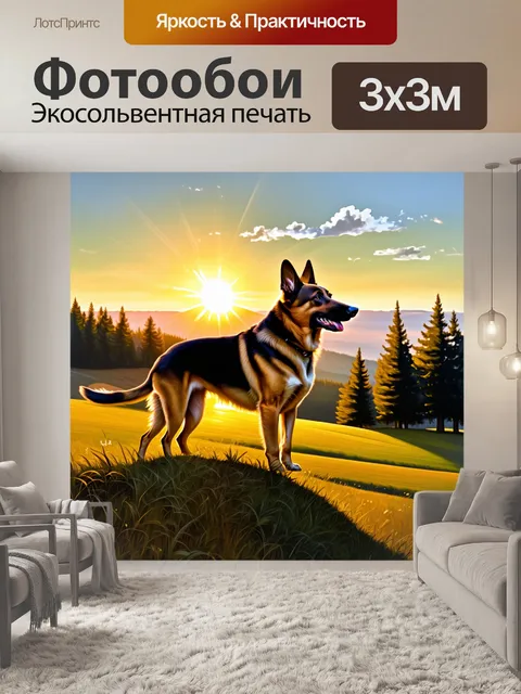 Фотообои немецкая овчарка стоит на вершине холма, любуясь бескрайними полями и лесами, а солнце встает на горизонте
