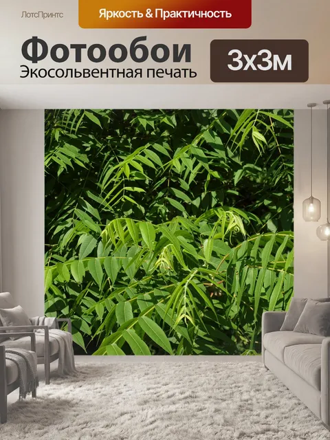 Фотообои оставляет текстуры