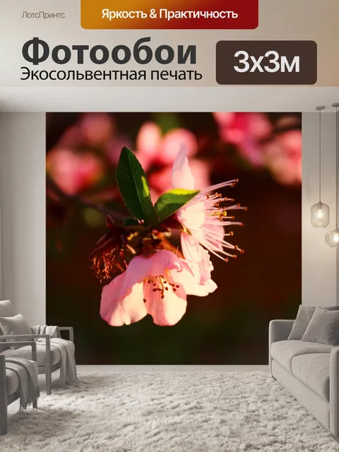 Фотообои Цветение персика